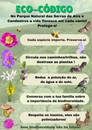 poster eco-código.jpg